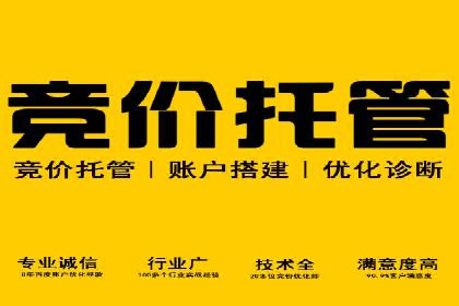专业SEM代运营托管公司案例分析